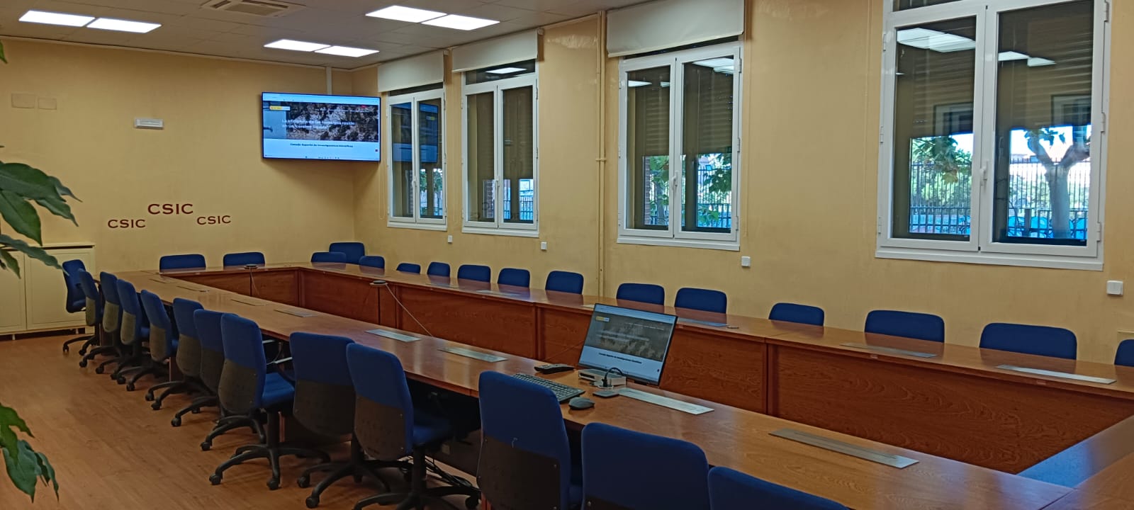 Imagen 4 de Pinar 25 Sala 6007 (VIC. y Comité Interterritorial)